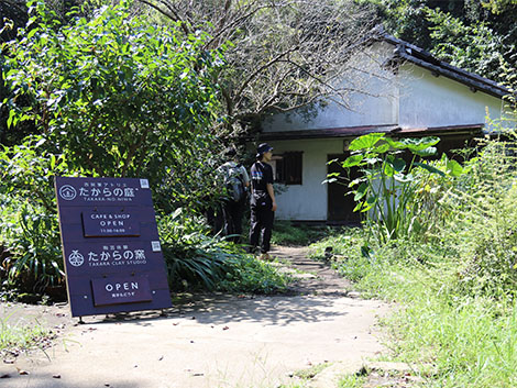 鎌倉文化体験日帰りツアー