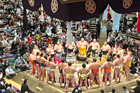 大相撲観戦の様子1
