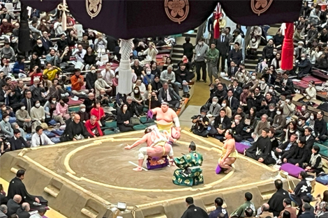 大相撲観戦の様子2